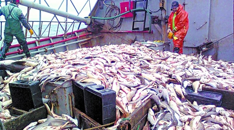 pueblo de pescadores