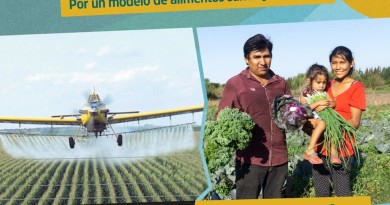 ALIMENTAZO