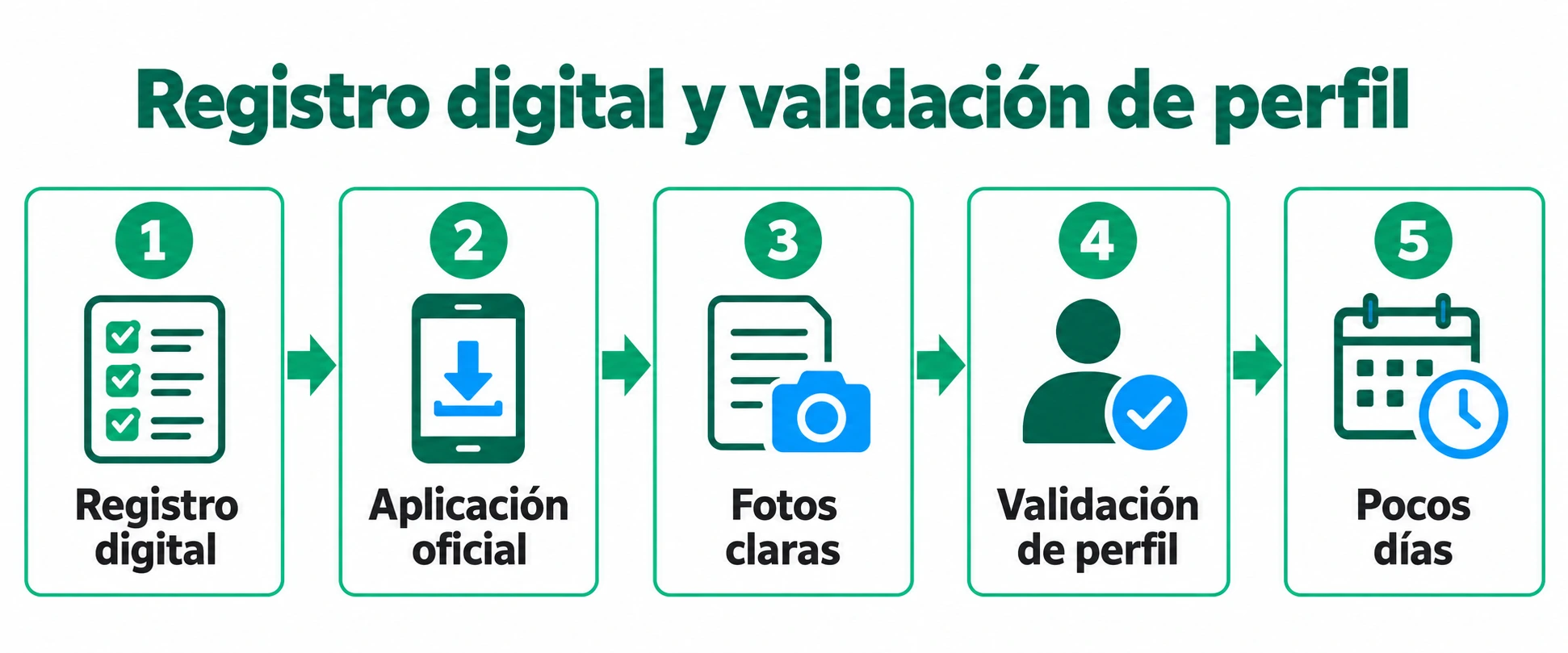 Secuencia lineal de pasos: descargar la aplicación oficial, subir fotos claras de documentos y esperar la validación del perfil que se confirma en pocos días.