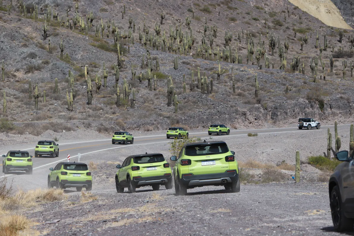 Varios Jeep Avenger, la mayoría verdes, avanzan en fila por un camino de ripio que serpentea entre cerros con cardones.